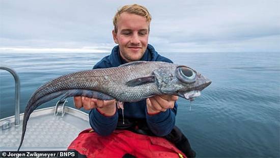 Teen Fisherman’s Astonishing Catch: Norway’s Rare Mouse Fish From the Age of Dinosaurs