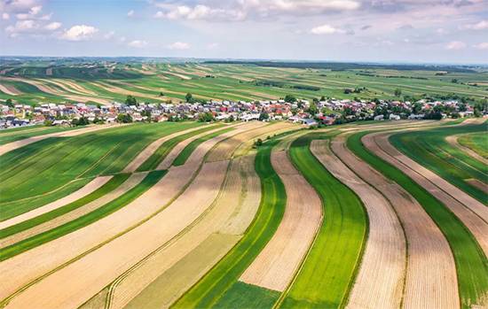 Poland’s Remarkable One-Street Town: Discover Life Along Sułoszowa’s 9-Kilometer Community