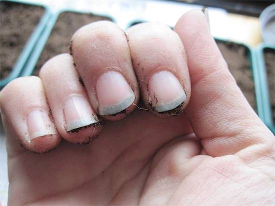 Dirty Nails or Honest Work? What Fingernails Can Really Say About a Person