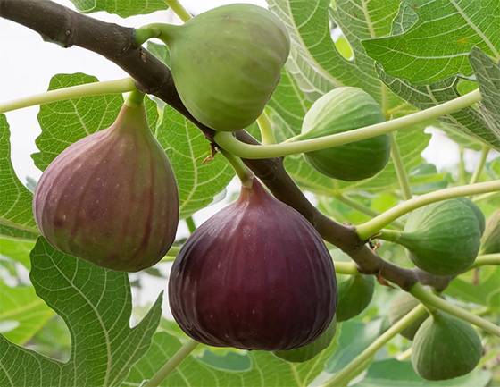 Simple Daily Habits for Supporting Joint, Muscle, and Back Comfort Naturally