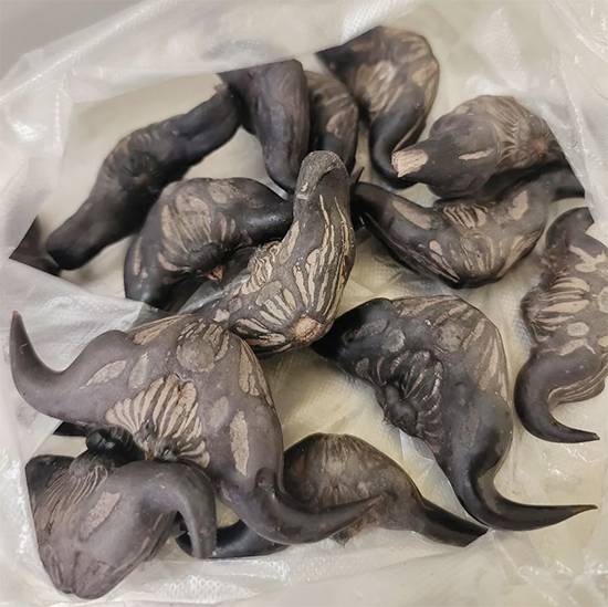 The Mystery Produce Bag: How a Neighbor’s Gift Turns Into Connection and Creativity