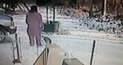 Woman Kicks Snow Onto A Cat's Face And Karma Strikes Back