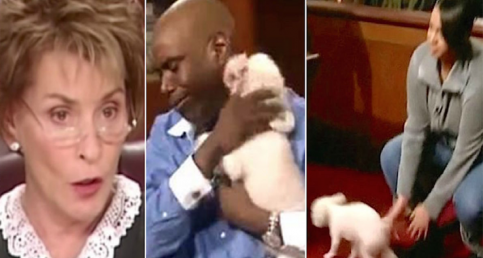 Judge Judy Lets Stolen Dog Run Loose In Courtroom To Identify His One True Owner